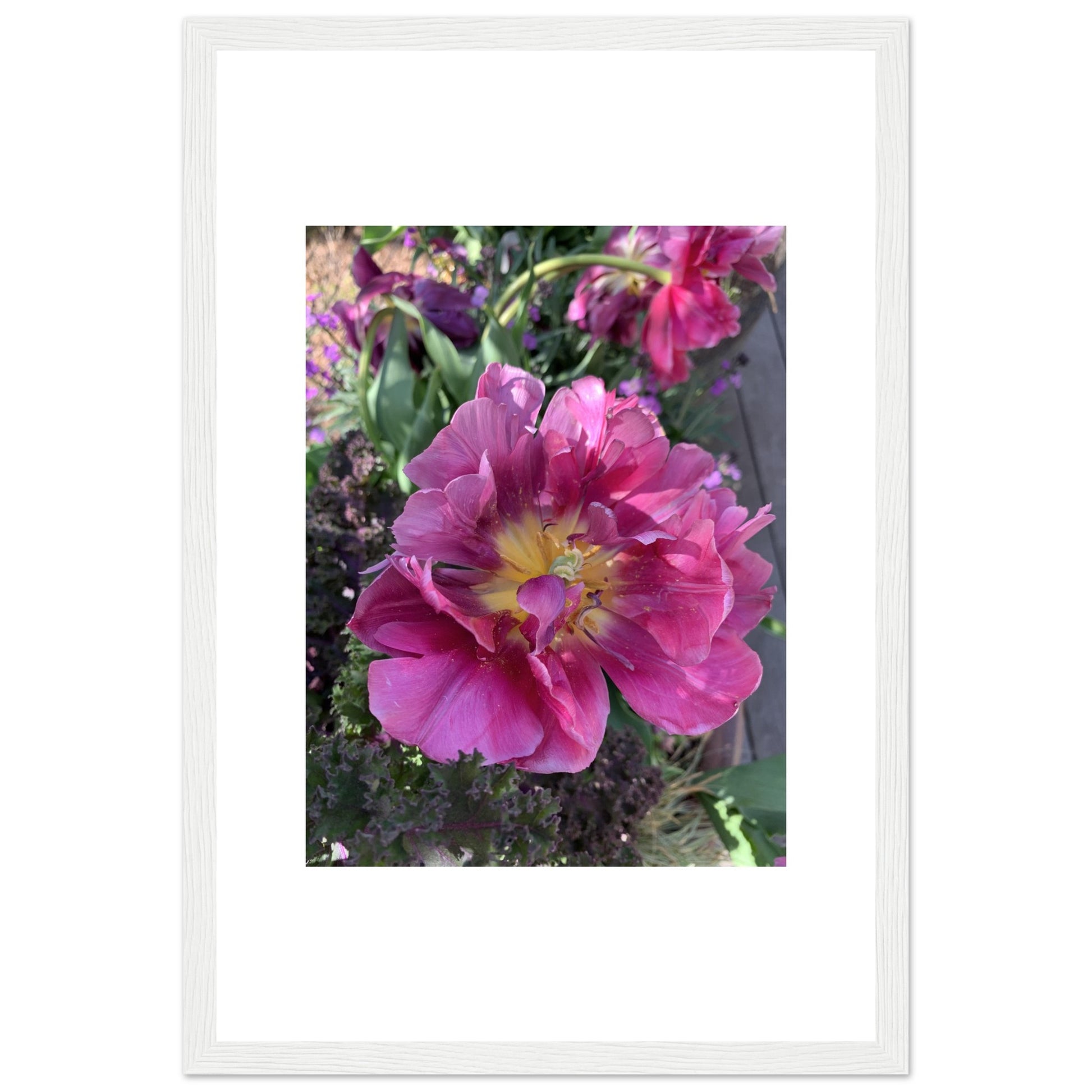 4226d510-3603-42fb-86e1-d364a7000712