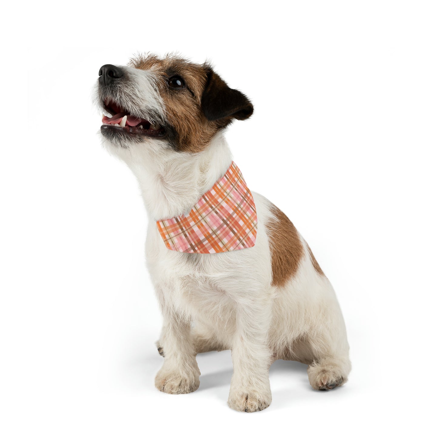 Soft Autumn Plaid Pet Bandana Collar