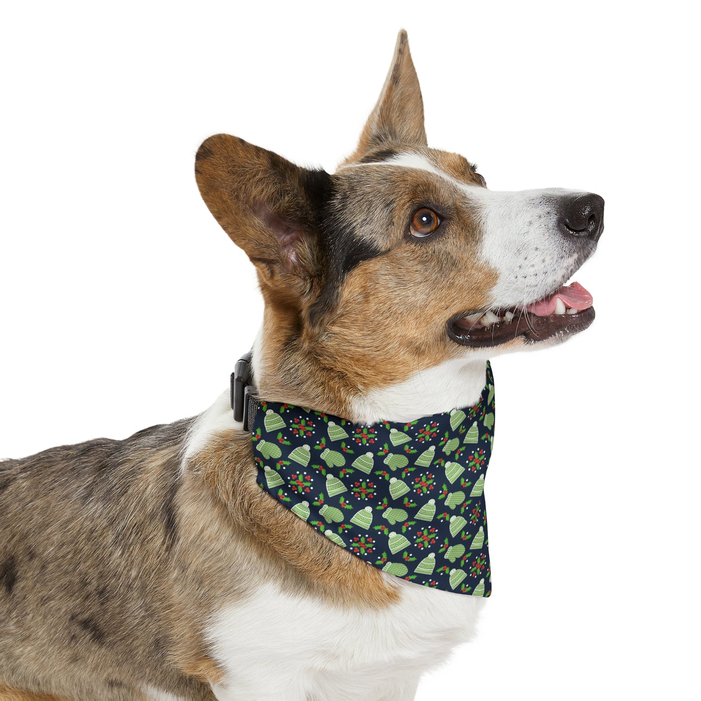 Winter Hats & Mittens Pet Bandana Collar