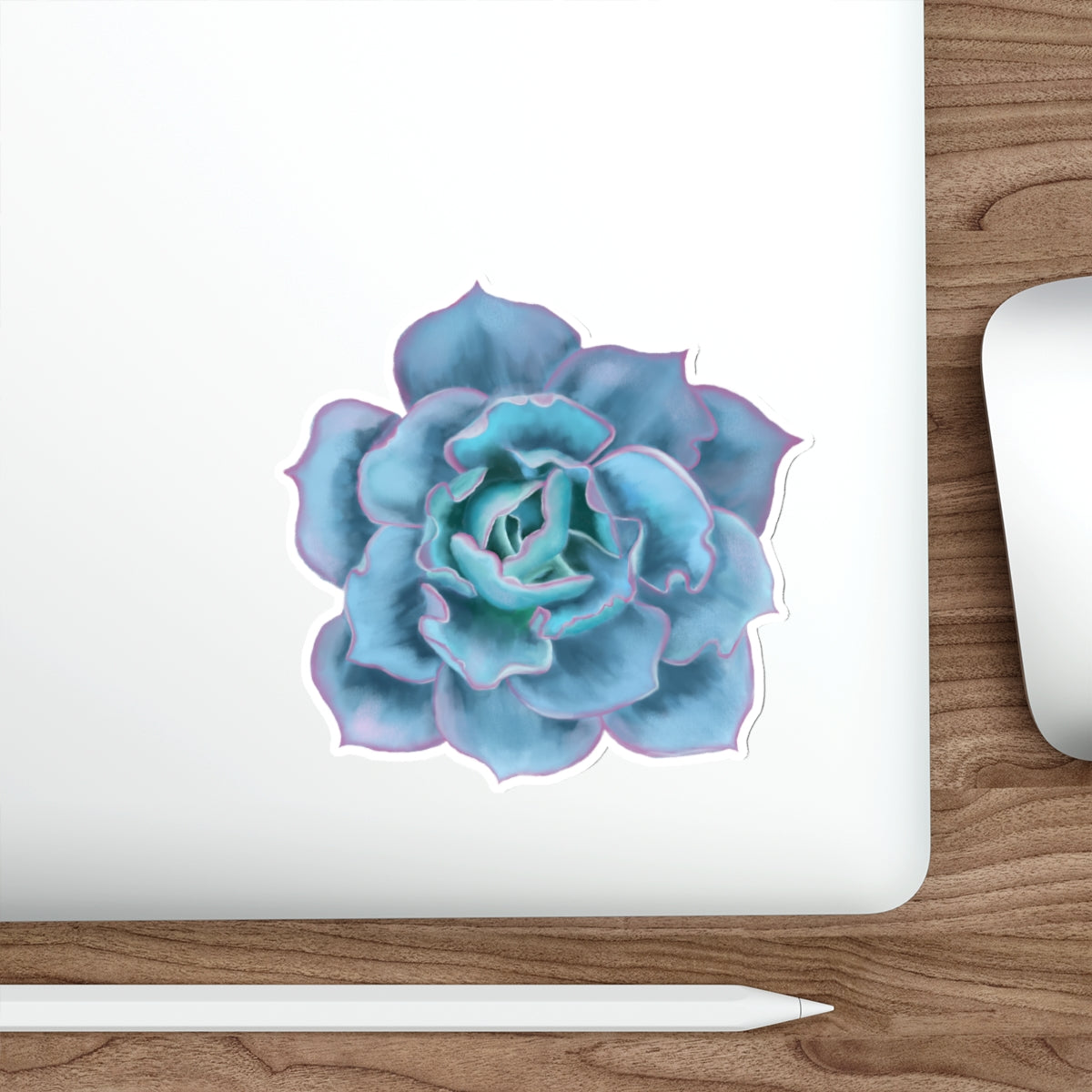 Succulent of the Month, December, Die-Cut Sticker, Echeveria Succulent, Turquoise with Pink Edges