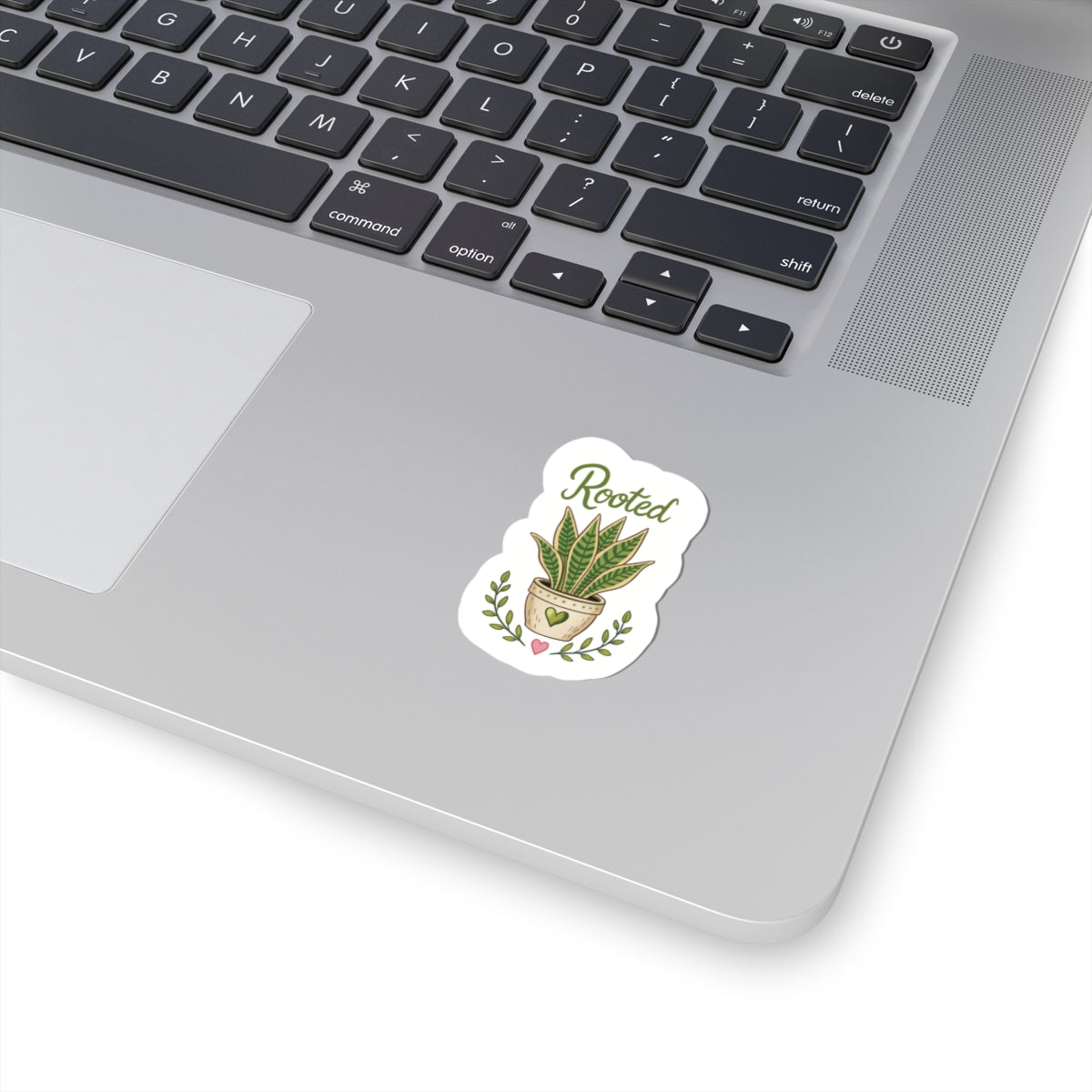 Rooted Plant Sticker — Kiss-Cut Potted Sansevieria Decal