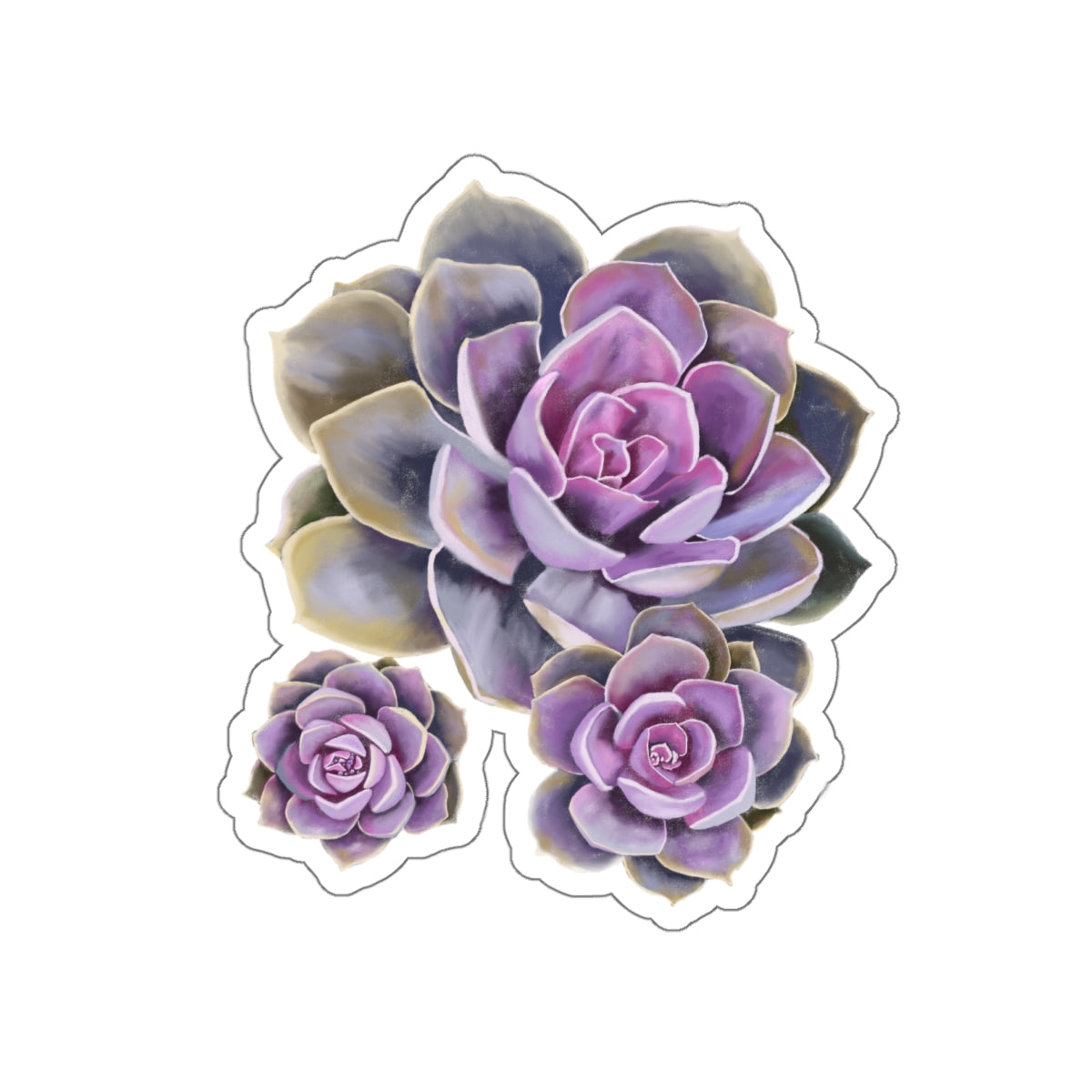 Succulent of the Month, June, Die-Cut Sticker, Echeveria Succulent, Pink and Purple