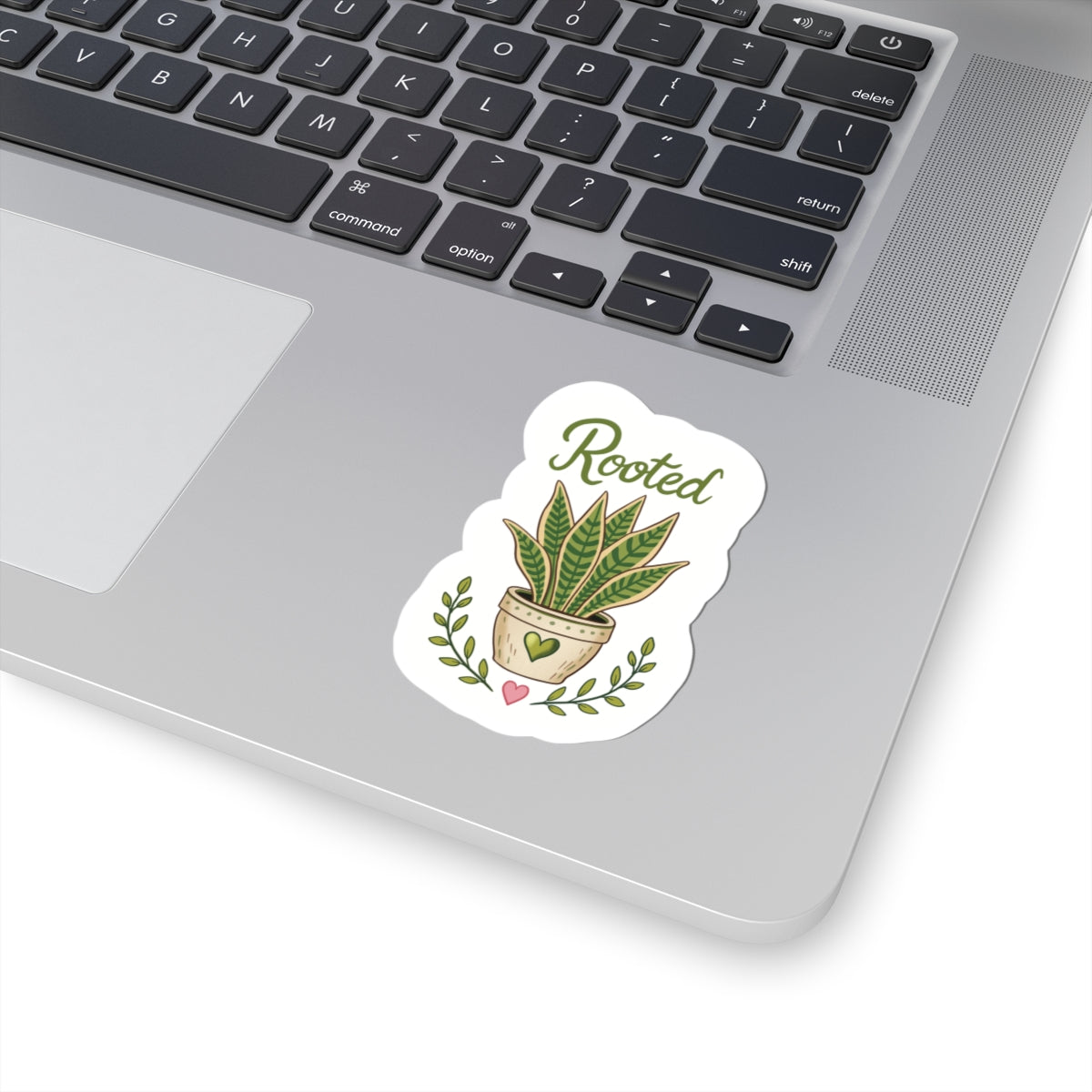 Rooted Plant Sticker — Kiss-Cut Potted Sansevieria Decal