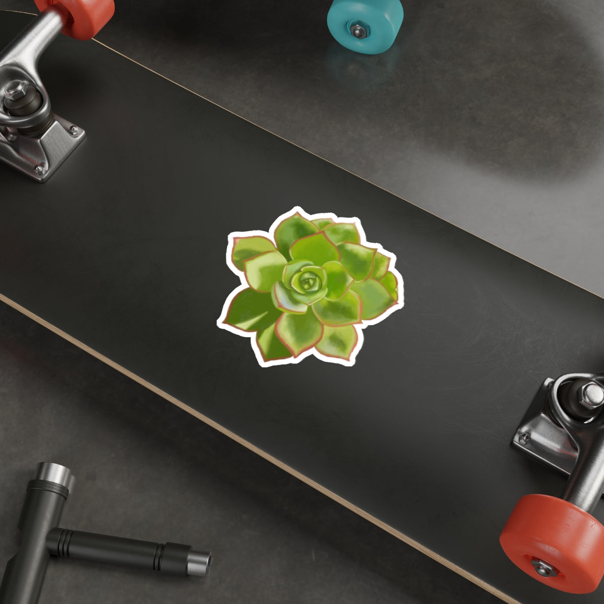 Succulent of the Month, May, Die-Cut Sticker, Echeveria Succulent, Gray and Green