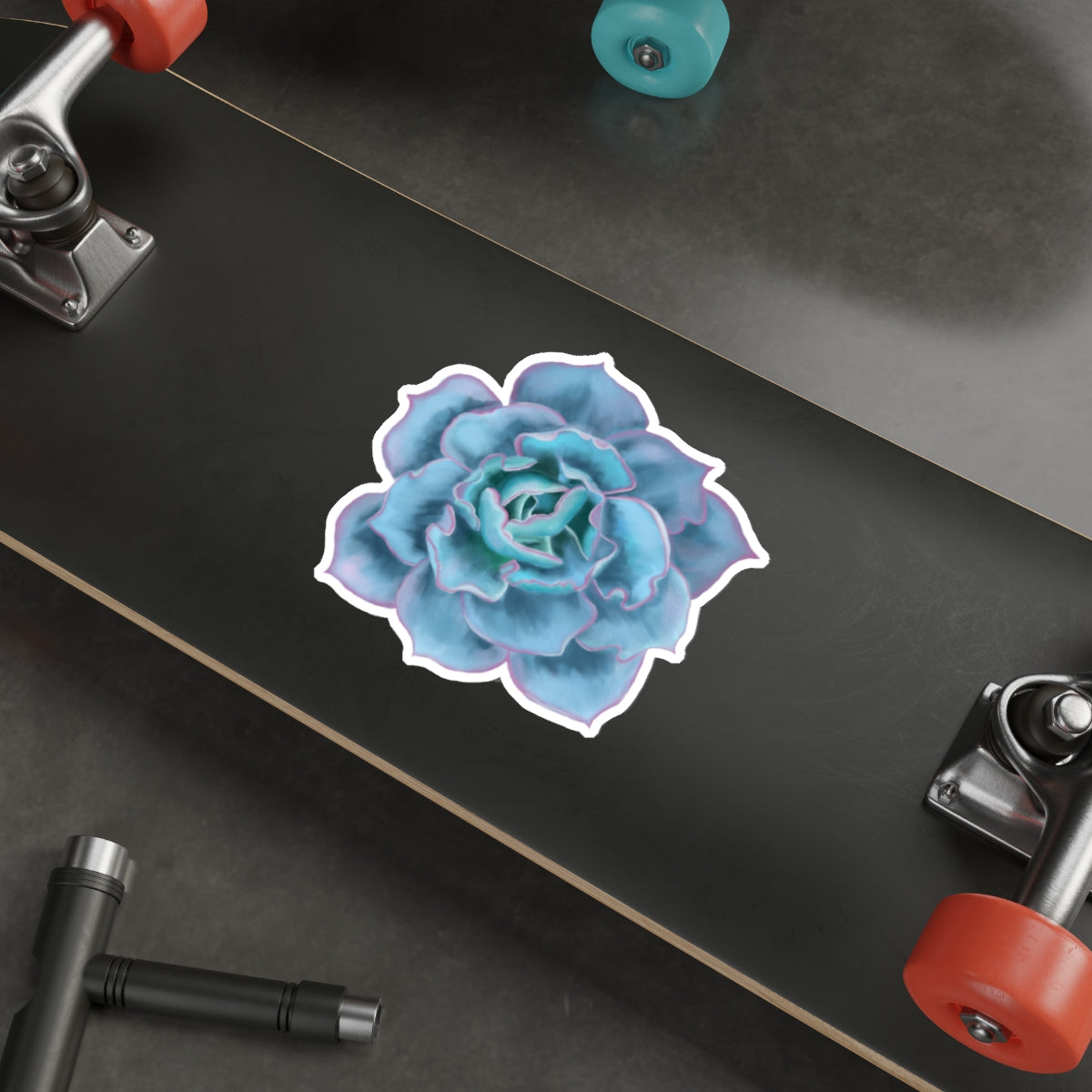 Succulent of the Month, December, Die-Cut Sticker, Echeveria Succulent, Turquoise with Pink Edges