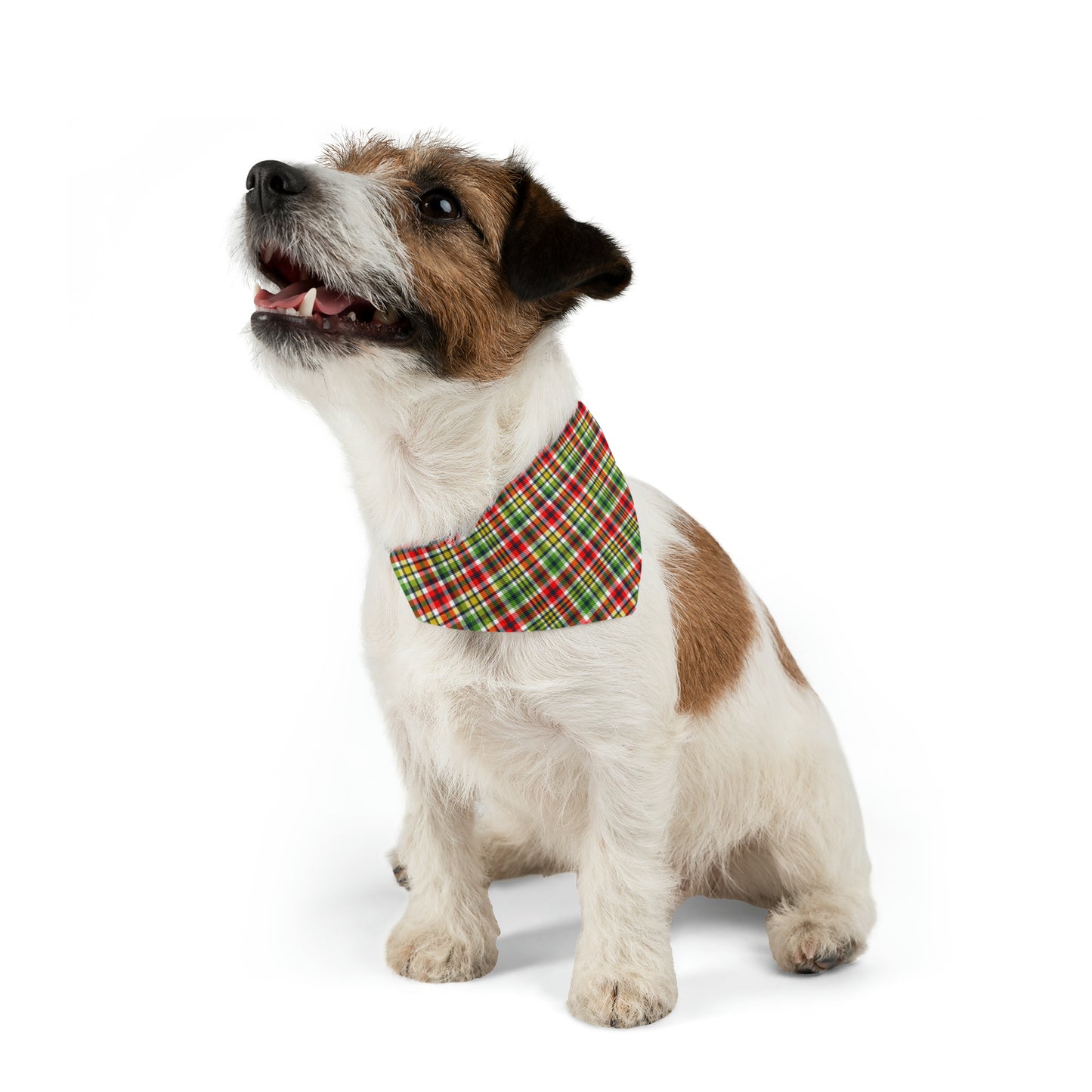 Very Merry Plaid Pet Bandana Collar