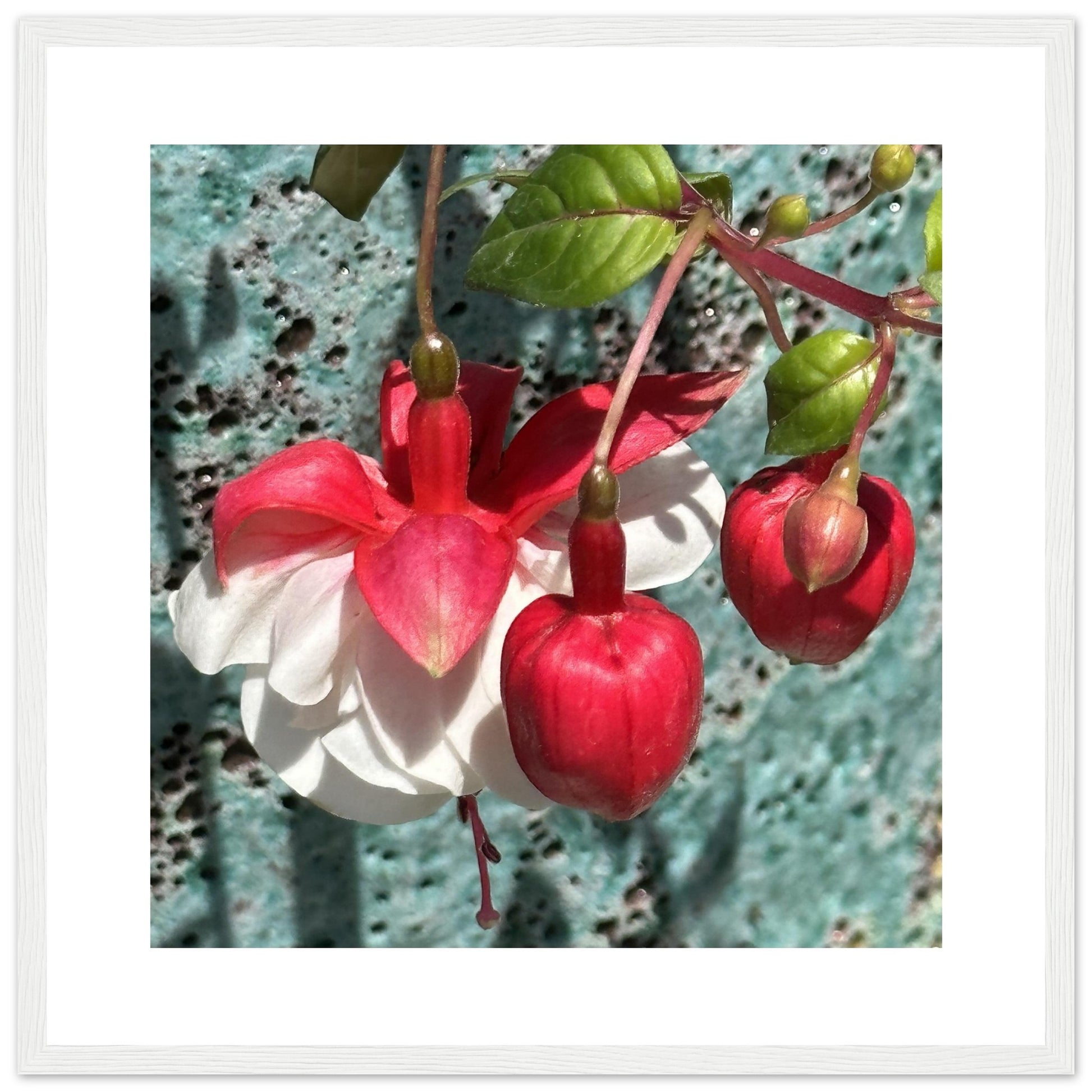 5c2c788a-d307-4f5f-b781-3c06732e0dfa