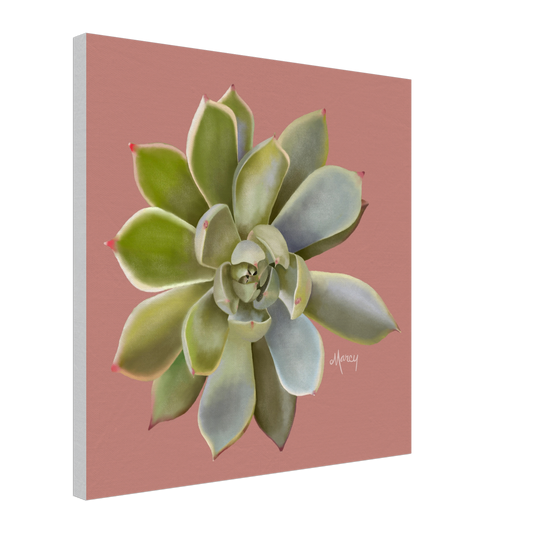Succulent of the Month | July | on Stretched Canvas | Echeveria Succulent