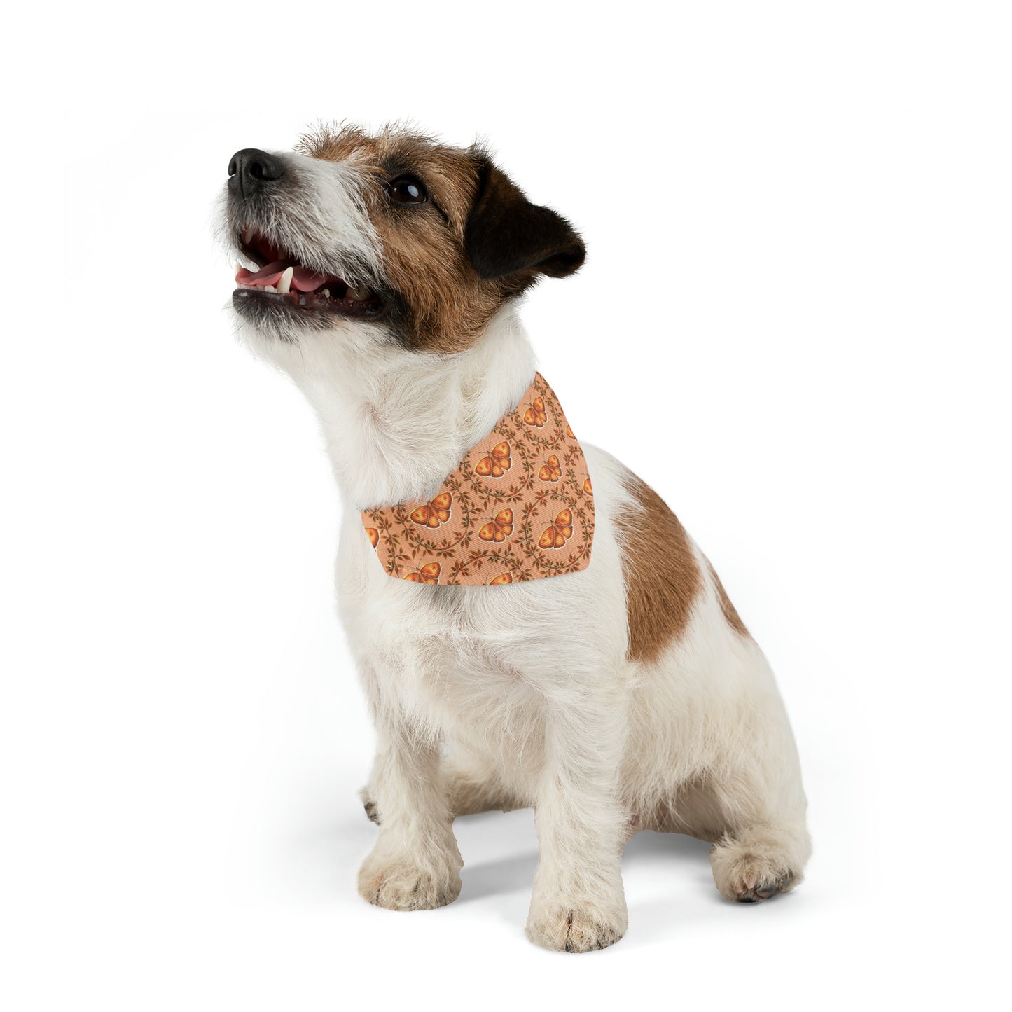 Moths & Vines Pet Bandana Collar