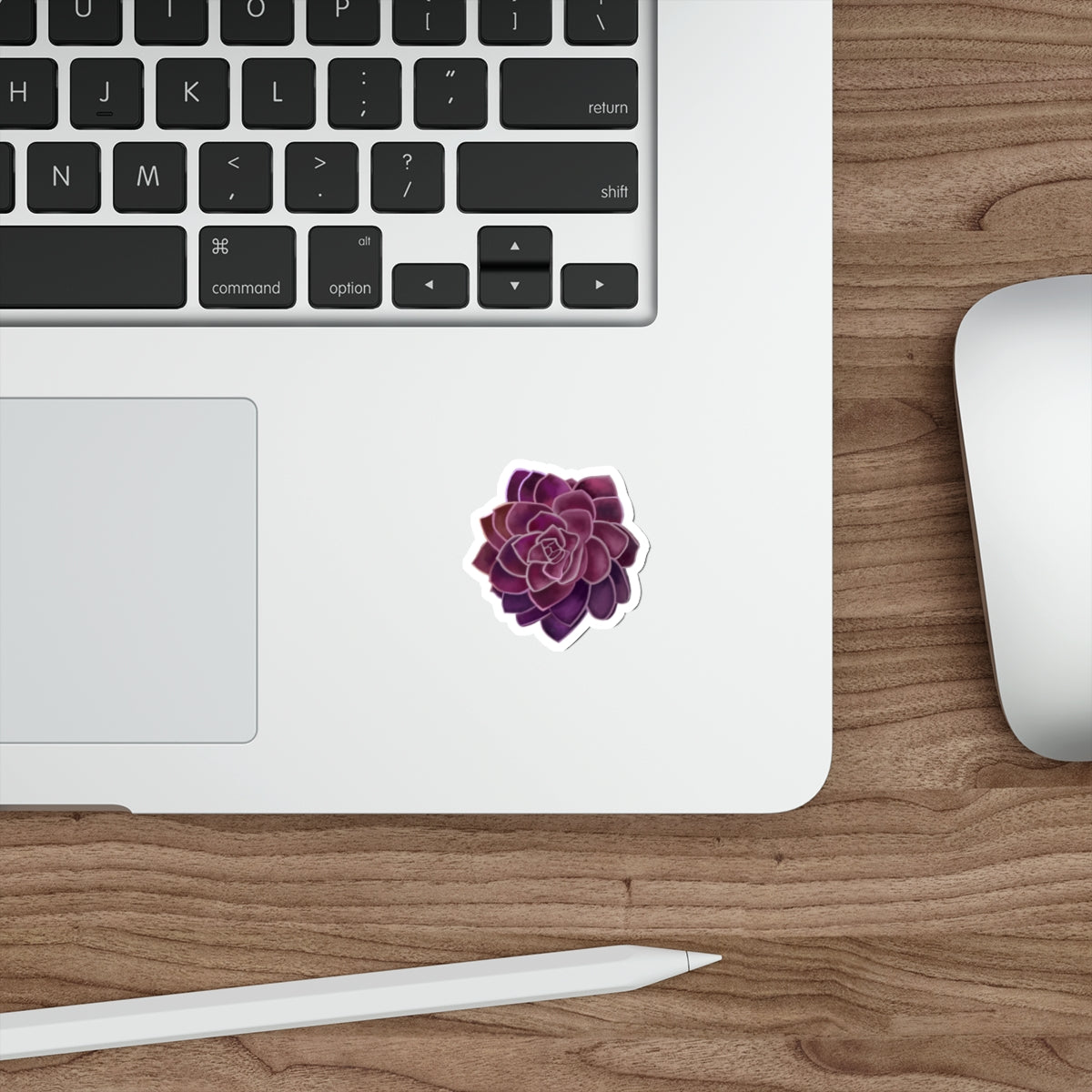 Succulent of the Month, February, Die-Cut Sticker, Echeveria Succulent, Purple