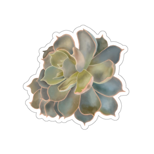 Succulent of the Month, October, Die-Cut Sticker, Echeveria Succulent, Gray Blues and Greens