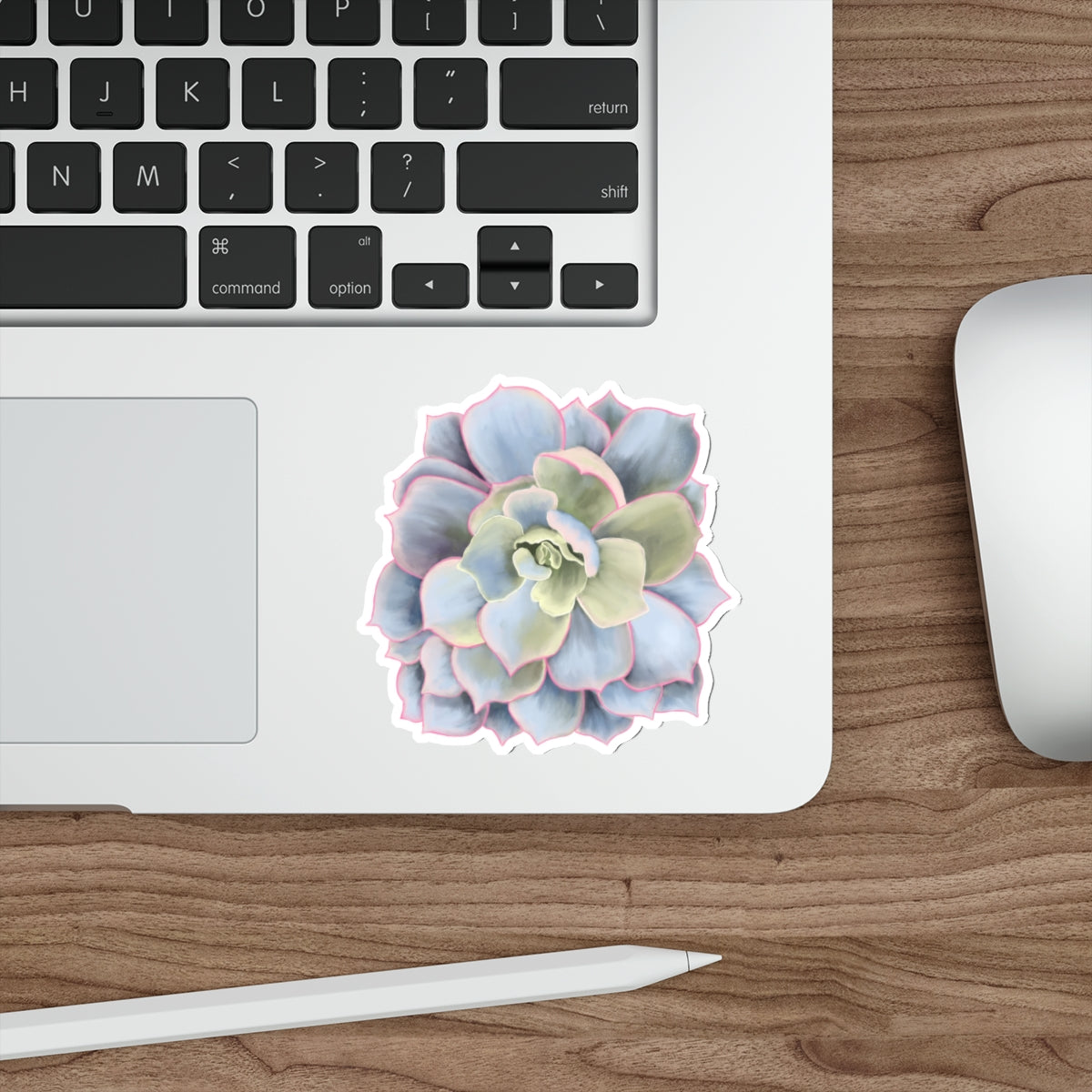 Succulent of the Month, January, Die-Cut Sticker, Echeveria Succulent, Gray and Green