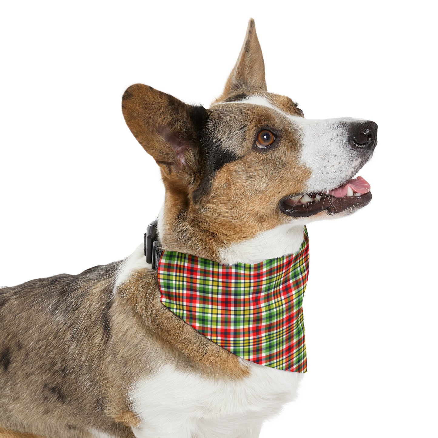 Very Merry Plaid Pet Bandana Collar