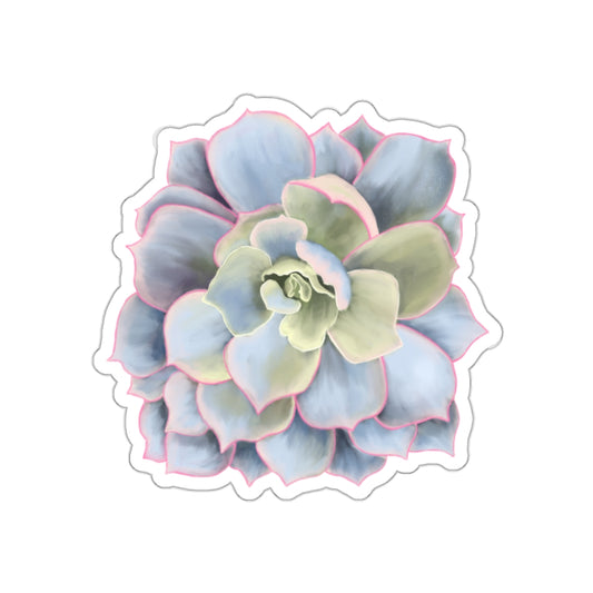 Succulent of the Month, January, Die-Cut Sticker, Echeveria Succulent, Gray and Green