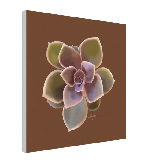 Succulent of the Month | November | on Stretched Canvas | Echeveria Succulent