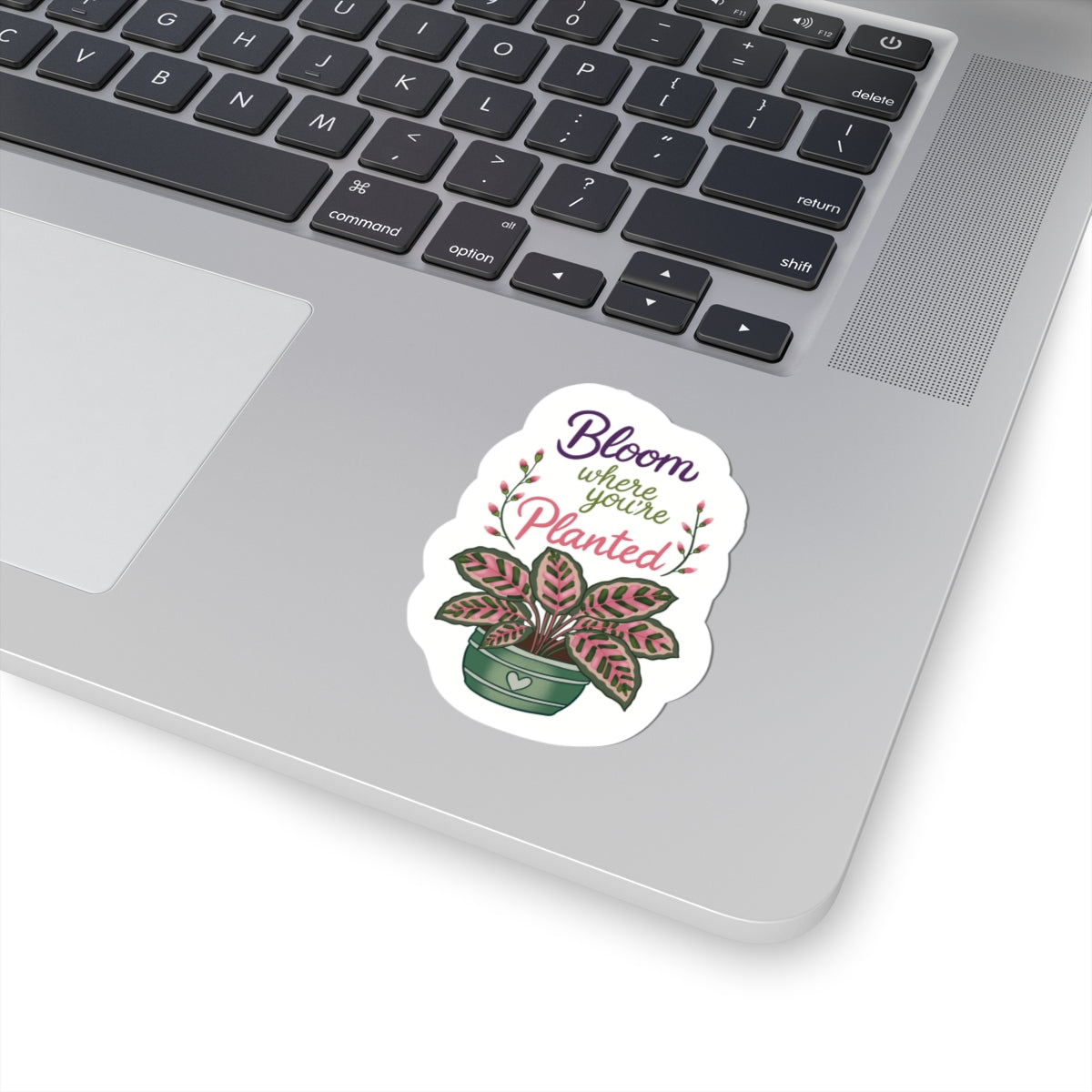 Bloom Where You're Planted Plant Sticker — Floral Kiss-Cut Decal for Laptops & Water Bottles