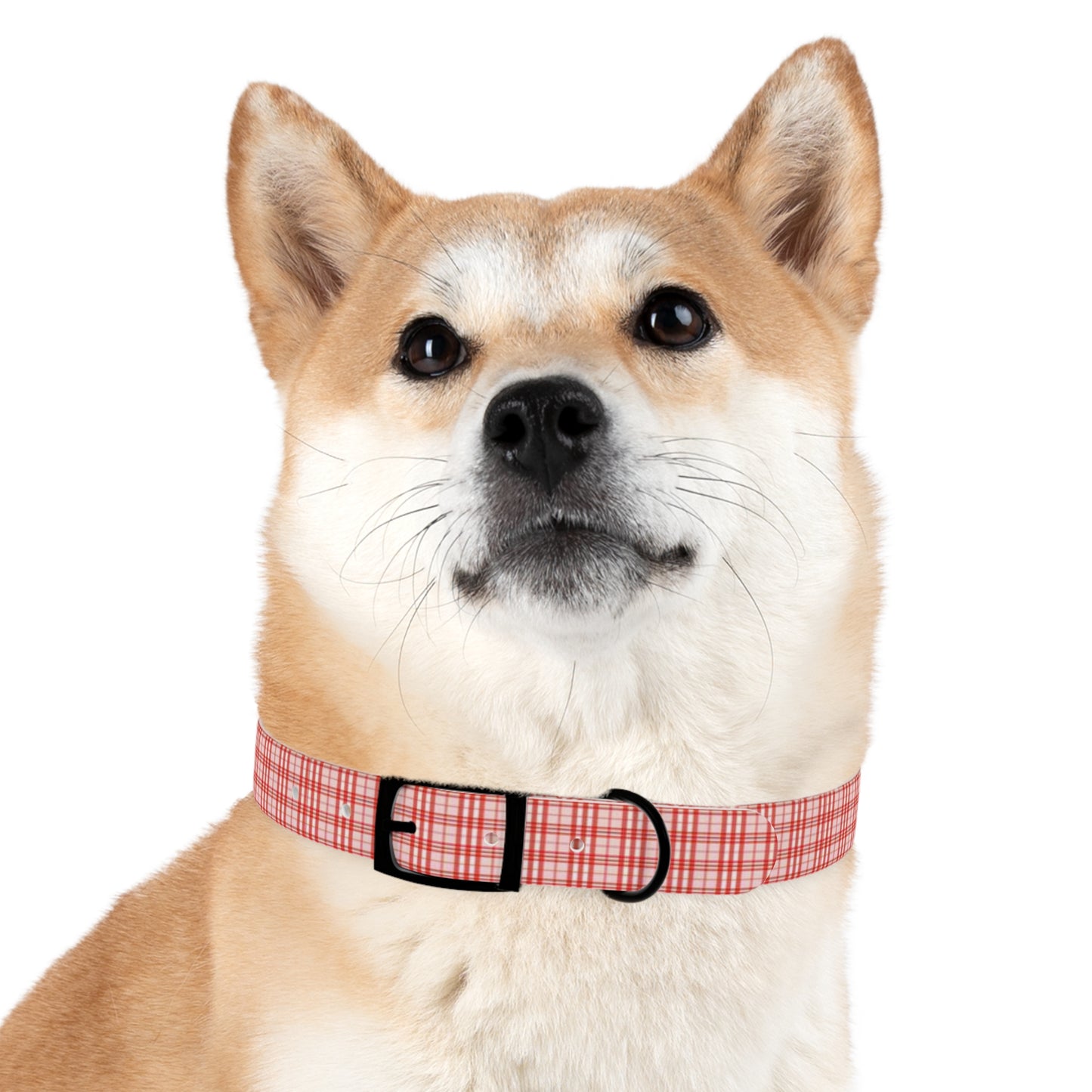 Red and White Plaid Dog Collar