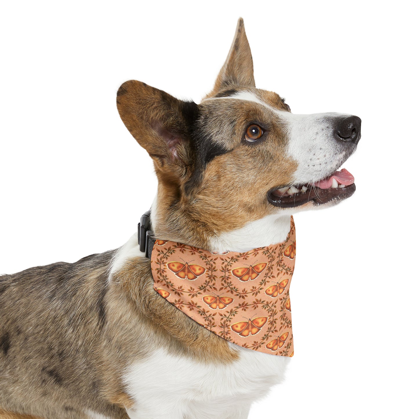 Moths & Vines Pet Bandana Collar