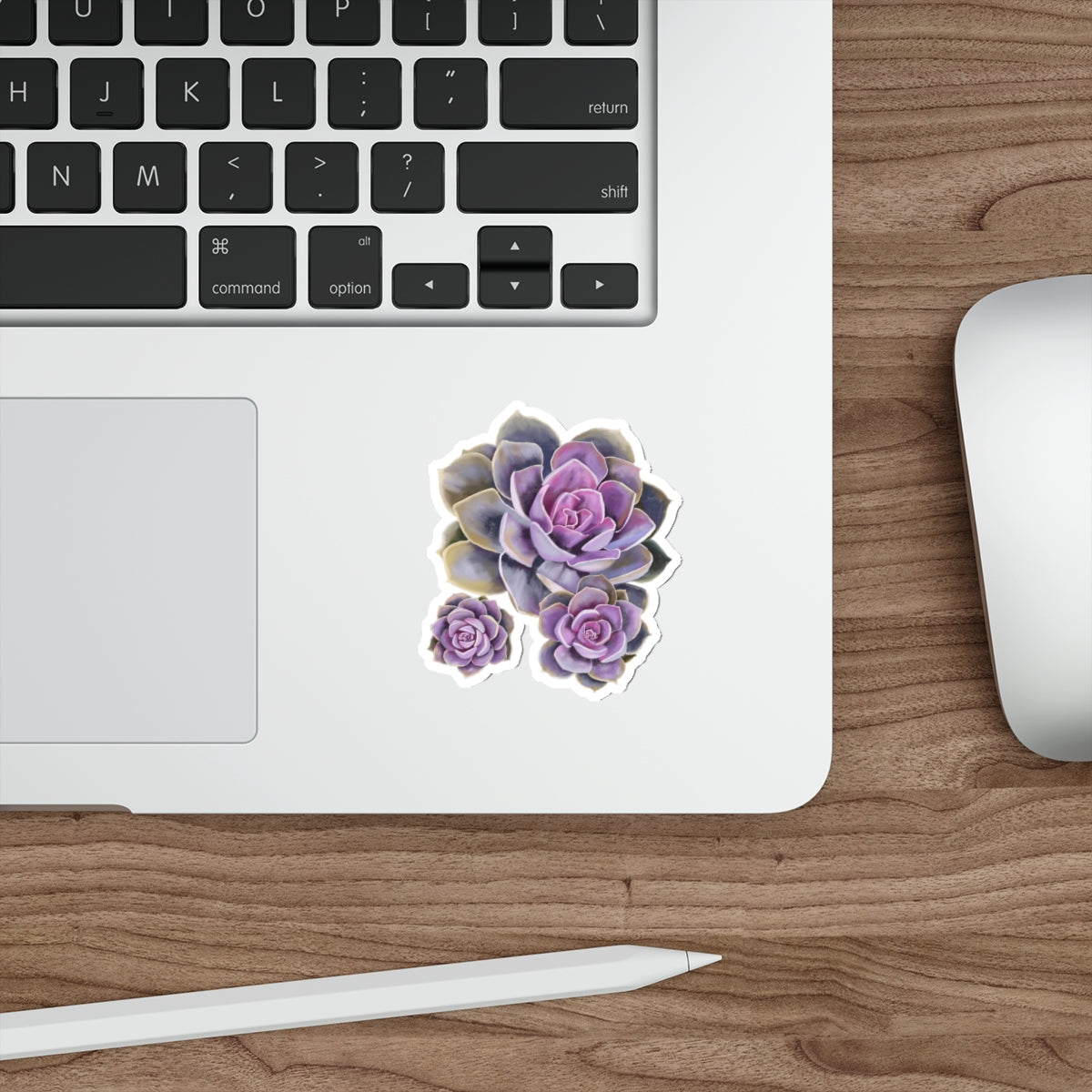 Succulent of the Month, June, Die-Cut Sticker, Echeveria Succulent, Pink and Purple