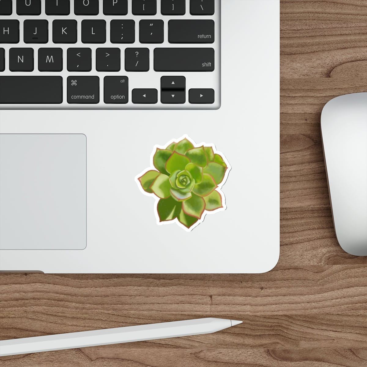 Succulent of the Month, May, Die-Cut Sticker, Echeveria Succulent, Gray and Green