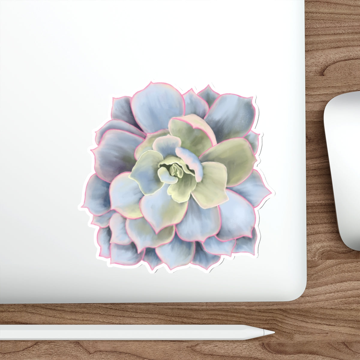 Succulent of the Month, January, Die-Cut Sticker, Echeveria Succulent, Gray and Green