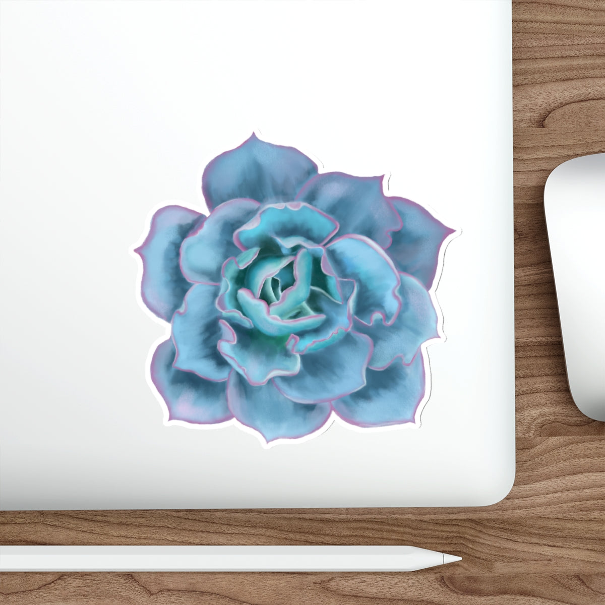 Succulent of the Month, December, Die-Cut Sticker, Echeveria Succulent, Turquoise with Pink Edges