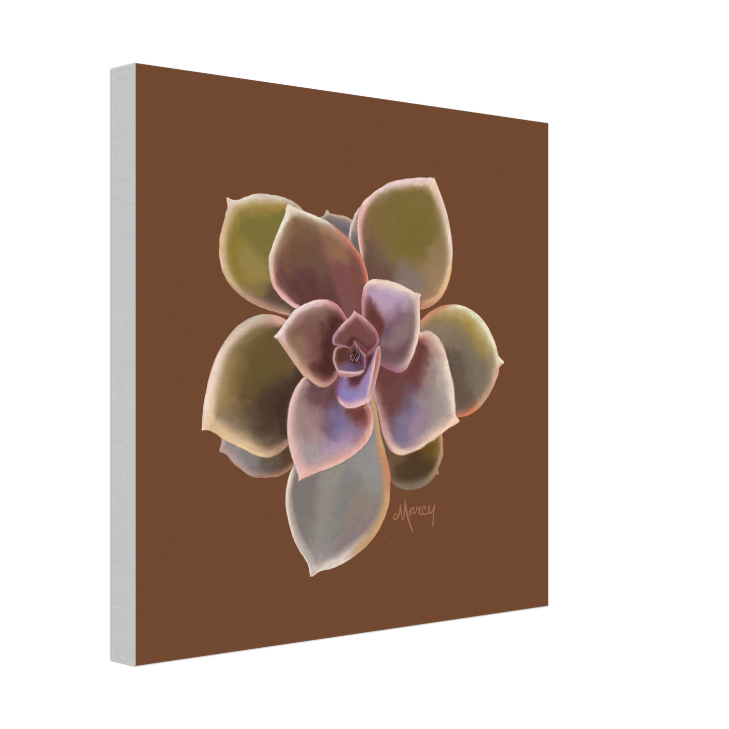 Succulent of the Month | November | on Stretched Canvas | Echeveria Succulent