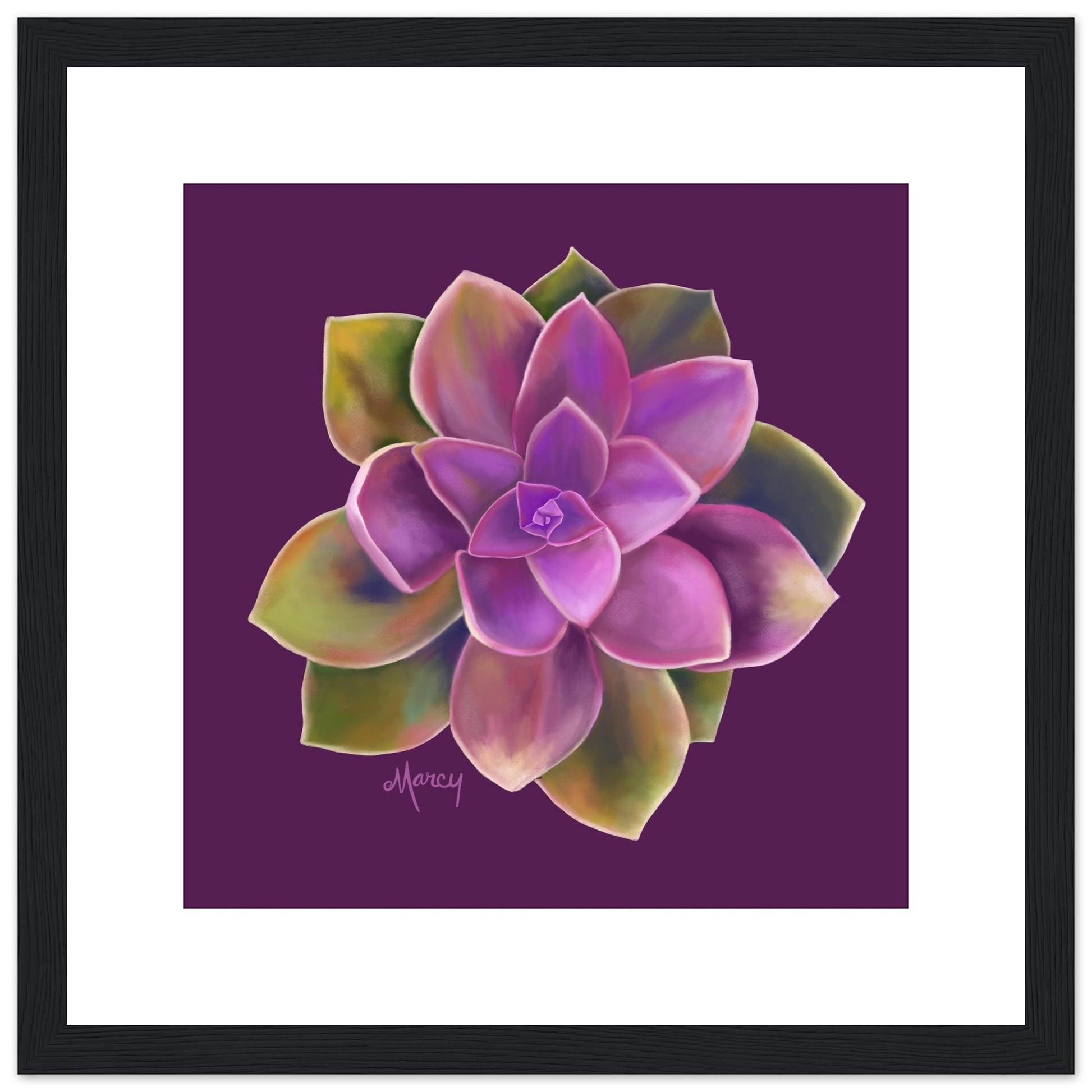 succulent grape plant Succulent of the Month | August | Echeveria Succulent