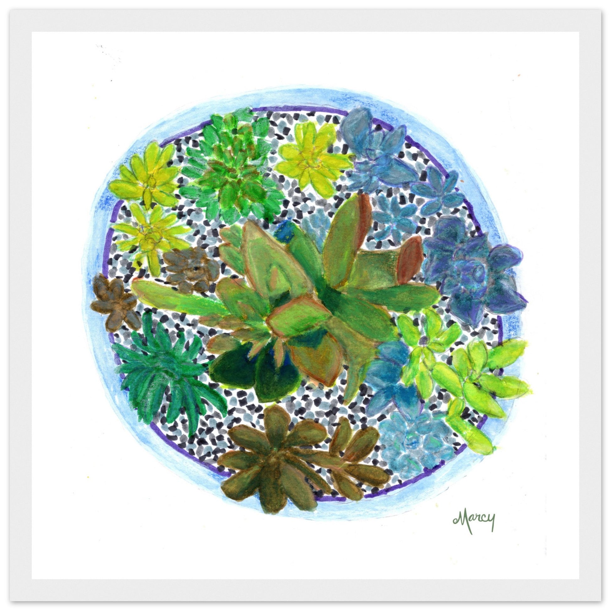 potted succulent painting Potted Succulent Variety — Premium Matte Paper Wooden Framed Poster – Marcy Brennan Art