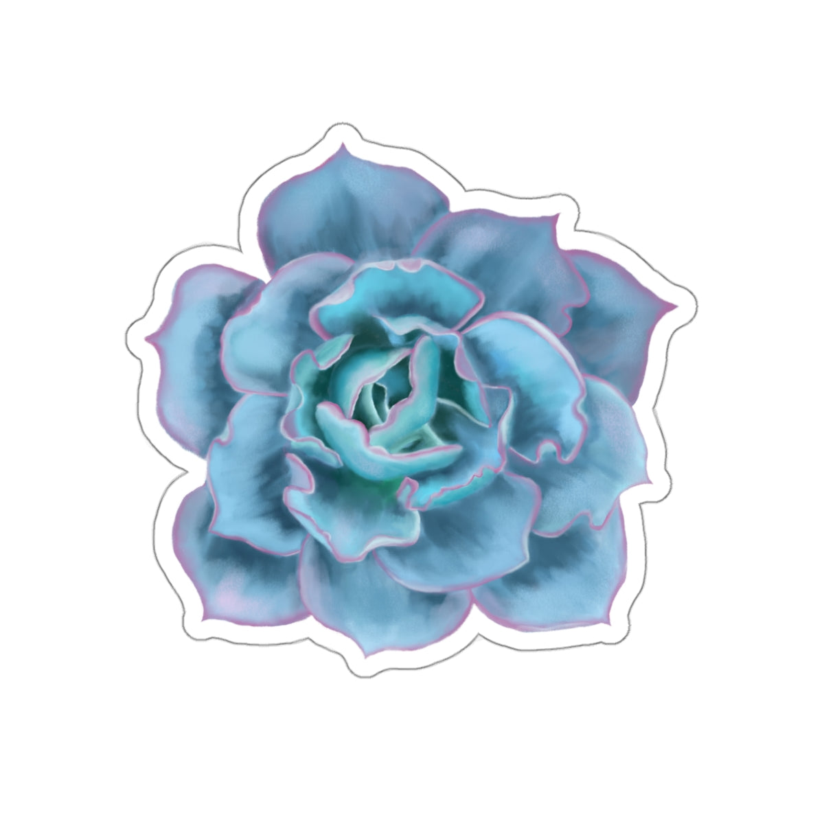 Succulent of the Month, December, Die-Cut Sticker, Echeveria Succulent, Turquoise with Pink Edges