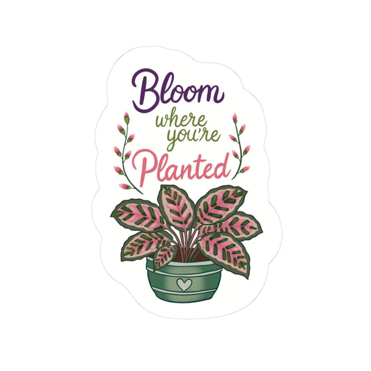 Bloom Where You're Planted Plant Sticker — Floral Kiss-Cut Decal for Laptops & Water Bottles
