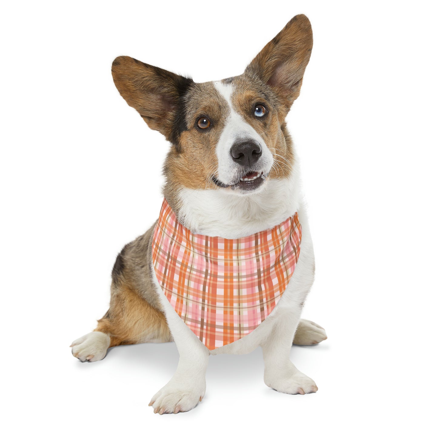 Soft Autumn Plaid Pet Bandana Collar