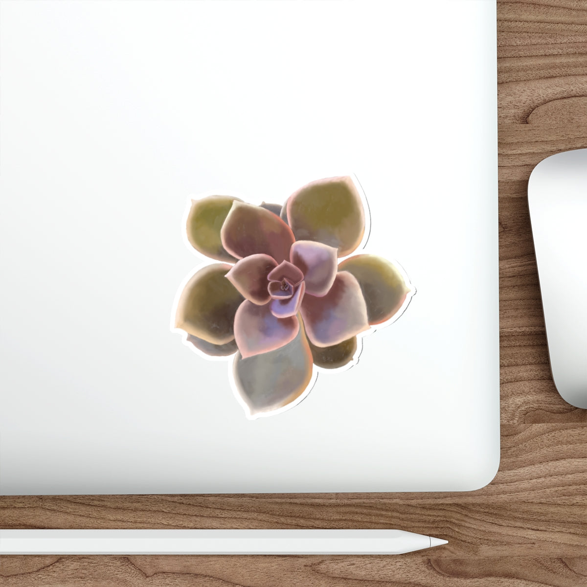 Succulent of the Month, November, Die-Cut Sticker, Echeveria Succulent, Soft Pink, Green, and Gray