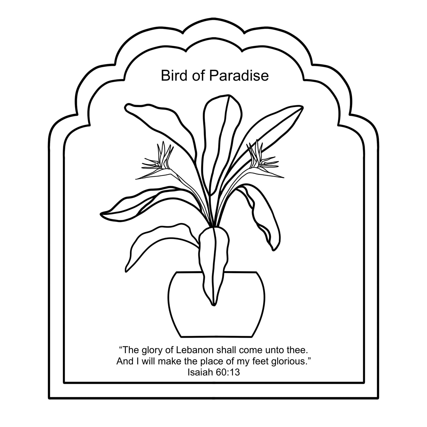 Faith & Houseplants