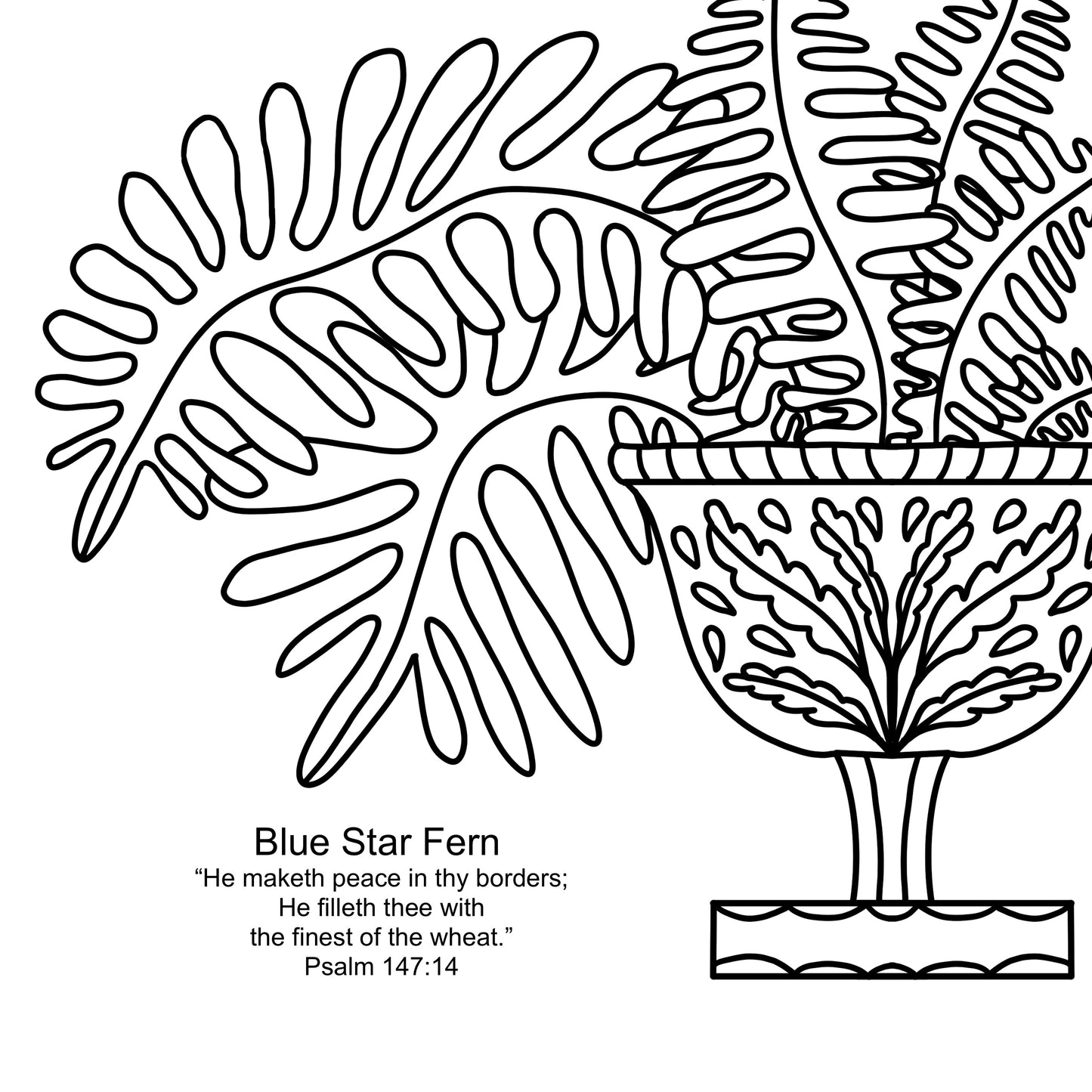 Faith & Houseplants