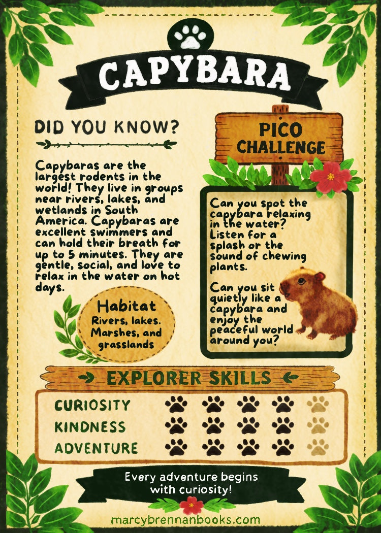 Pico’s Jungle Adventure Explorer Card Collection - FREE Shipping