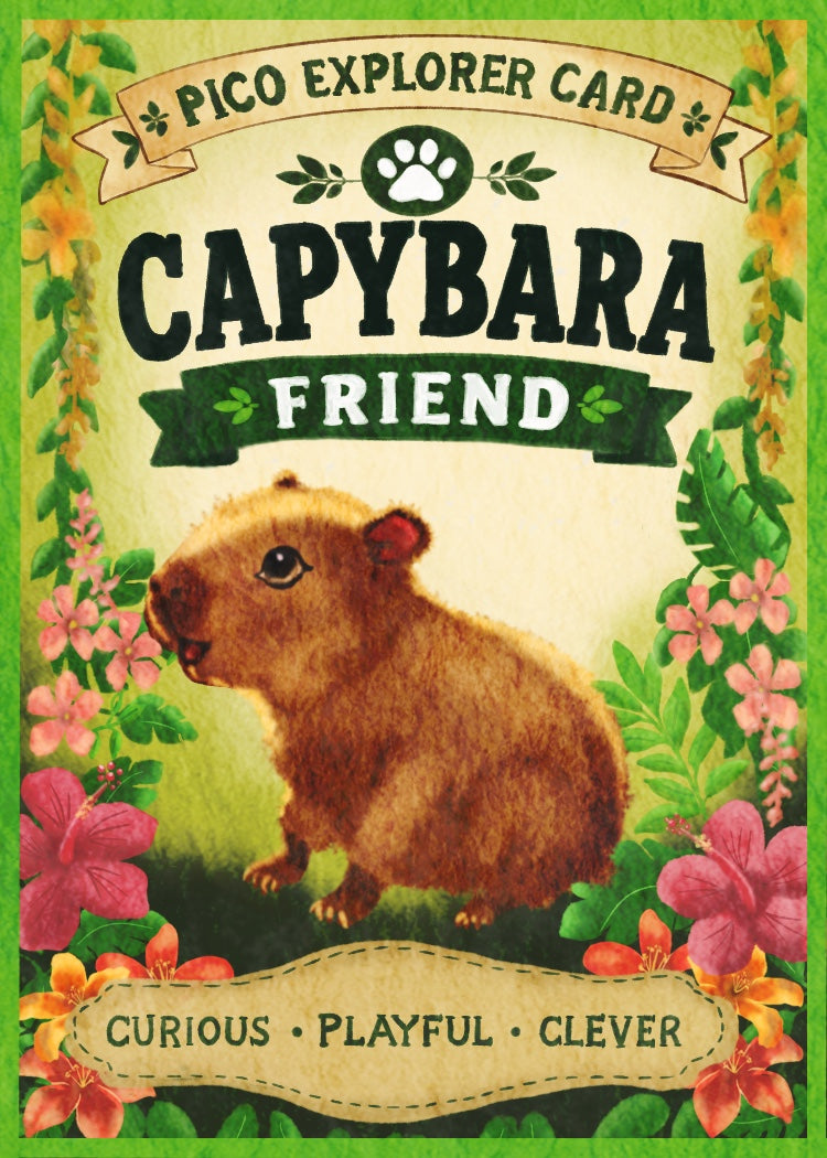 Pico’s Jungle Adventure Explorer Card Collection - FREE Shipping