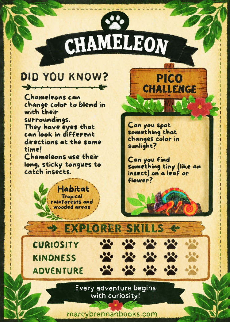 Pico’s Jungle Adventure Explorer Card Collection - FREE Shipping