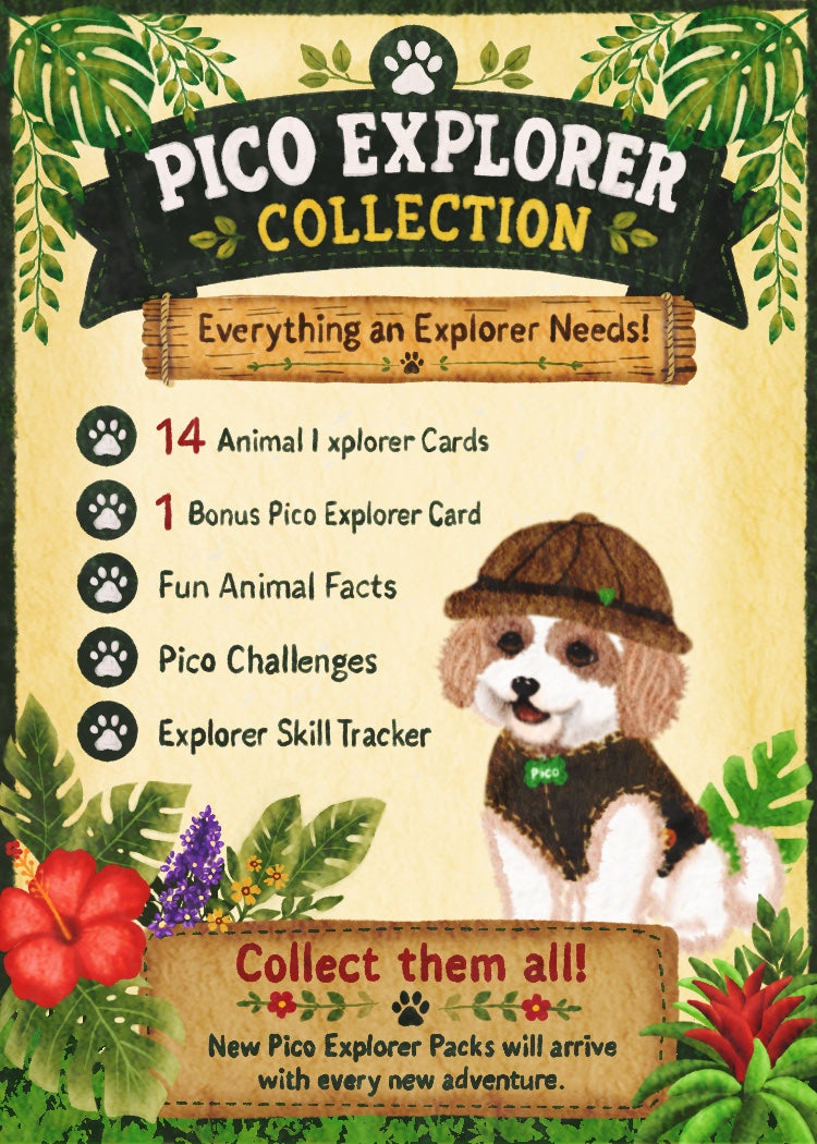 Pico’s Jungle Adventure Explorer Card Collection - FREE Shipping