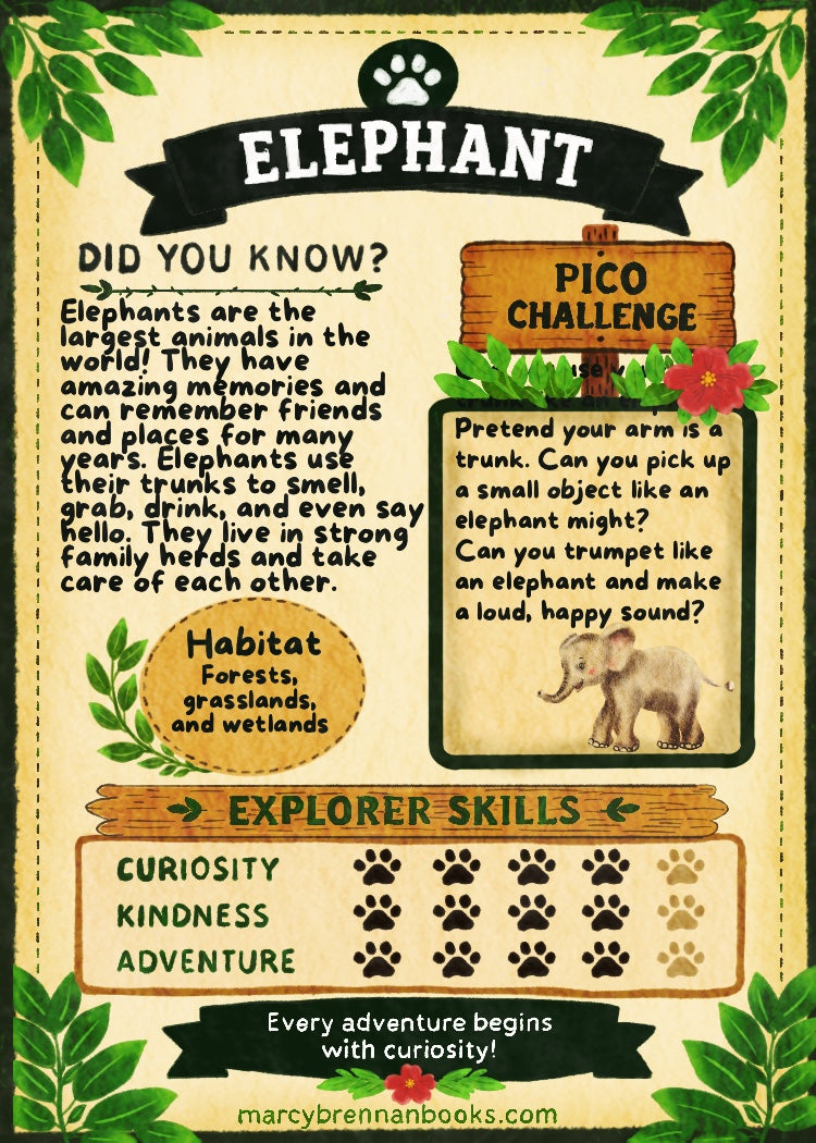 Pico’s Jungle Adventure Explorer Card Collection - FREE Shipping