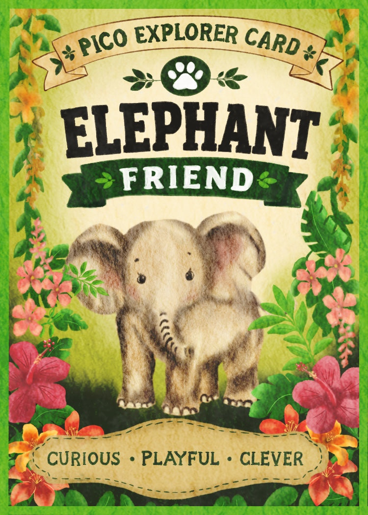 Pico’s Jungle Adventure Explorer Card Collection - FREE Shipping