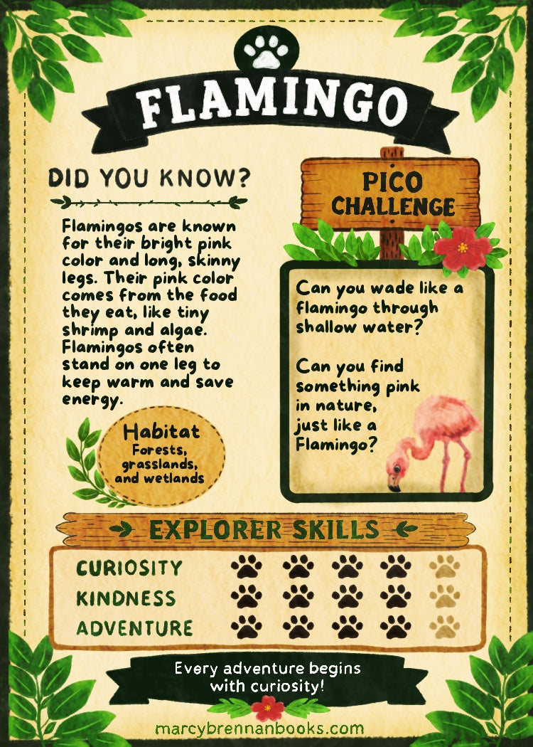 Pico’s Jungle Adventure Explorer Card Collection - FREE Shipping