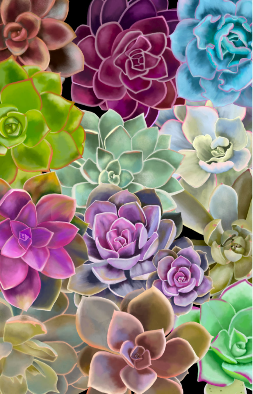 Echeveria Succulent iPhone Wallpaper Instant Digital Download