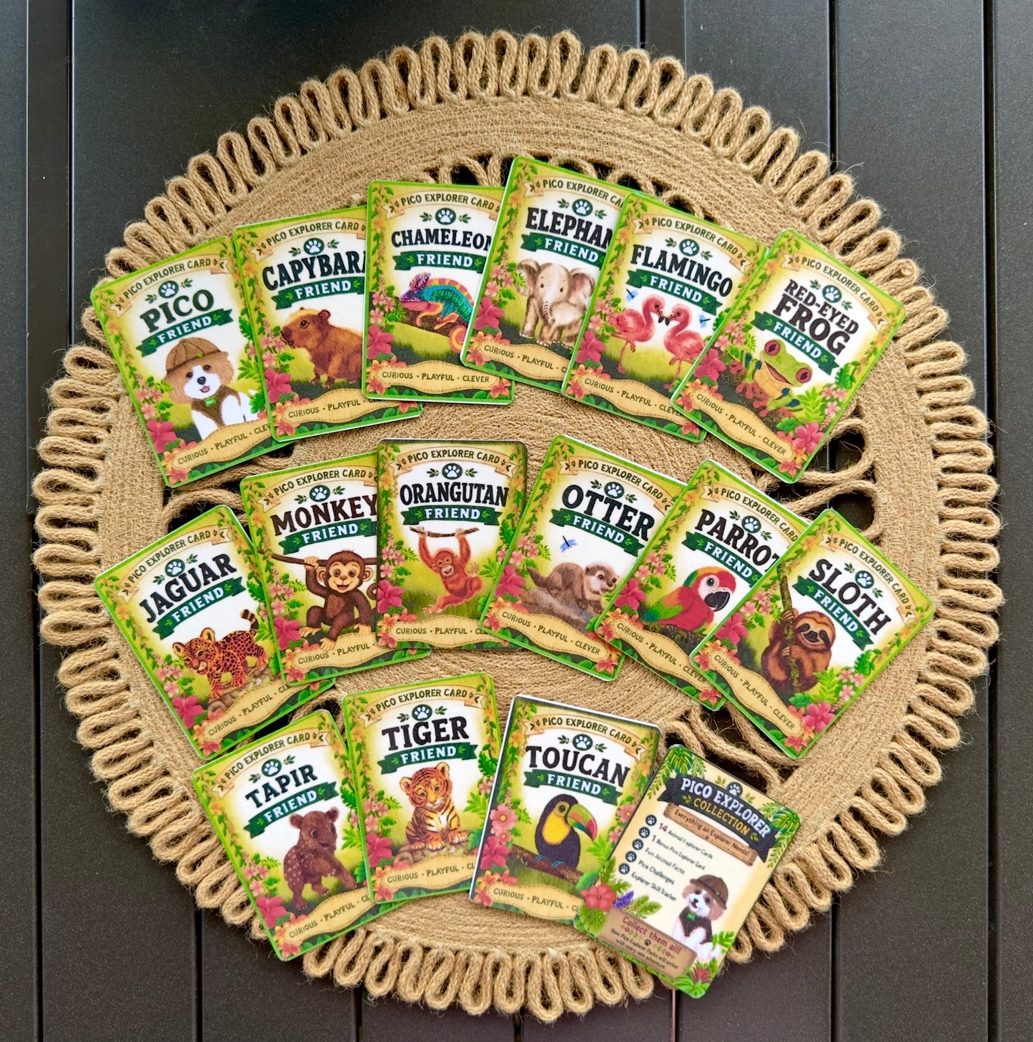 Pico’s Jungle Adventure Explorer Card Collection - FREE Shipping