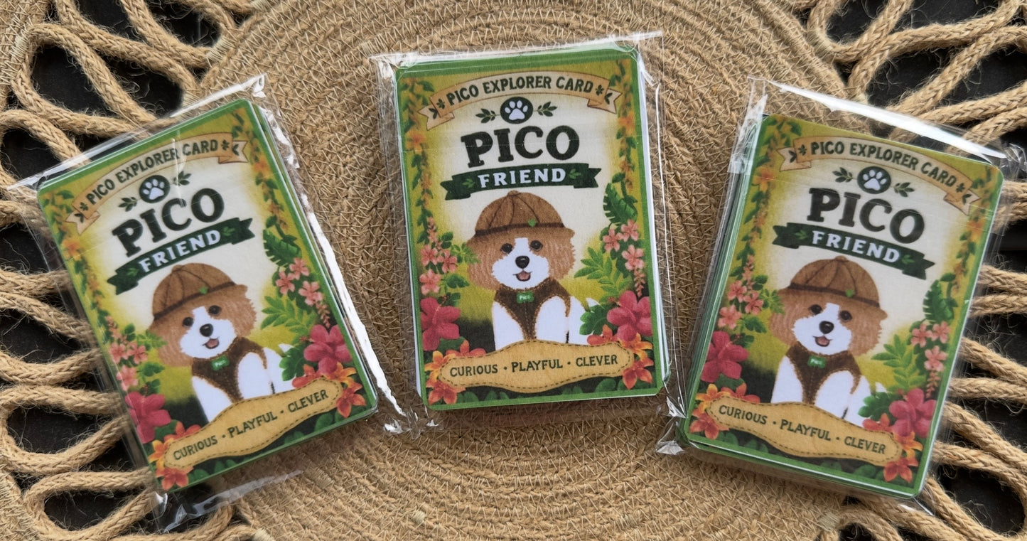 Pico’s Jungle Adventure Explorer Card Collection - FREE Shipping