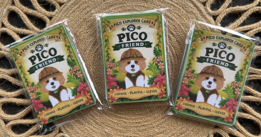 Pico’s Jungle Adventure Explorer Card Collection - FREE Shipping
