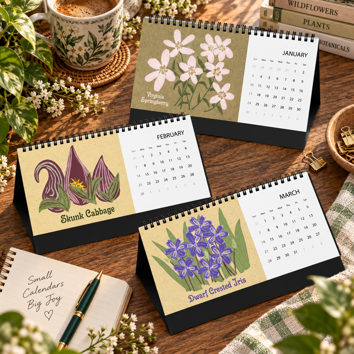 2027 Appalachian Wildflowers Desktop Calendar