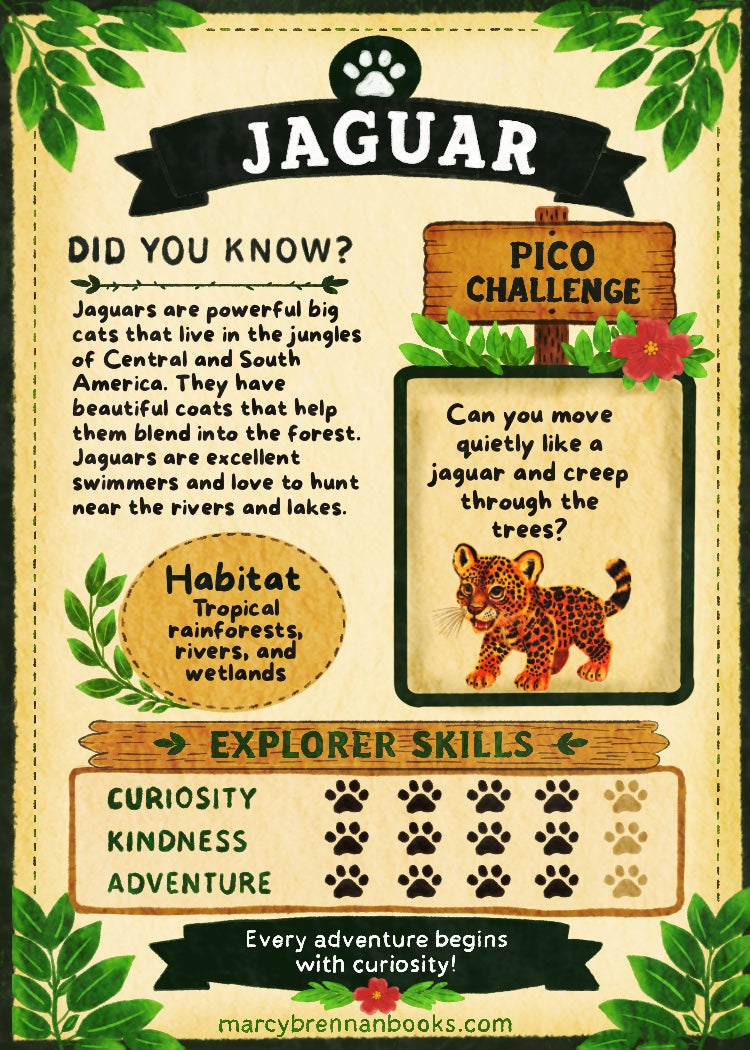 Pico’s Jungle Adventure Explorer Card Collection - FREE Shipping