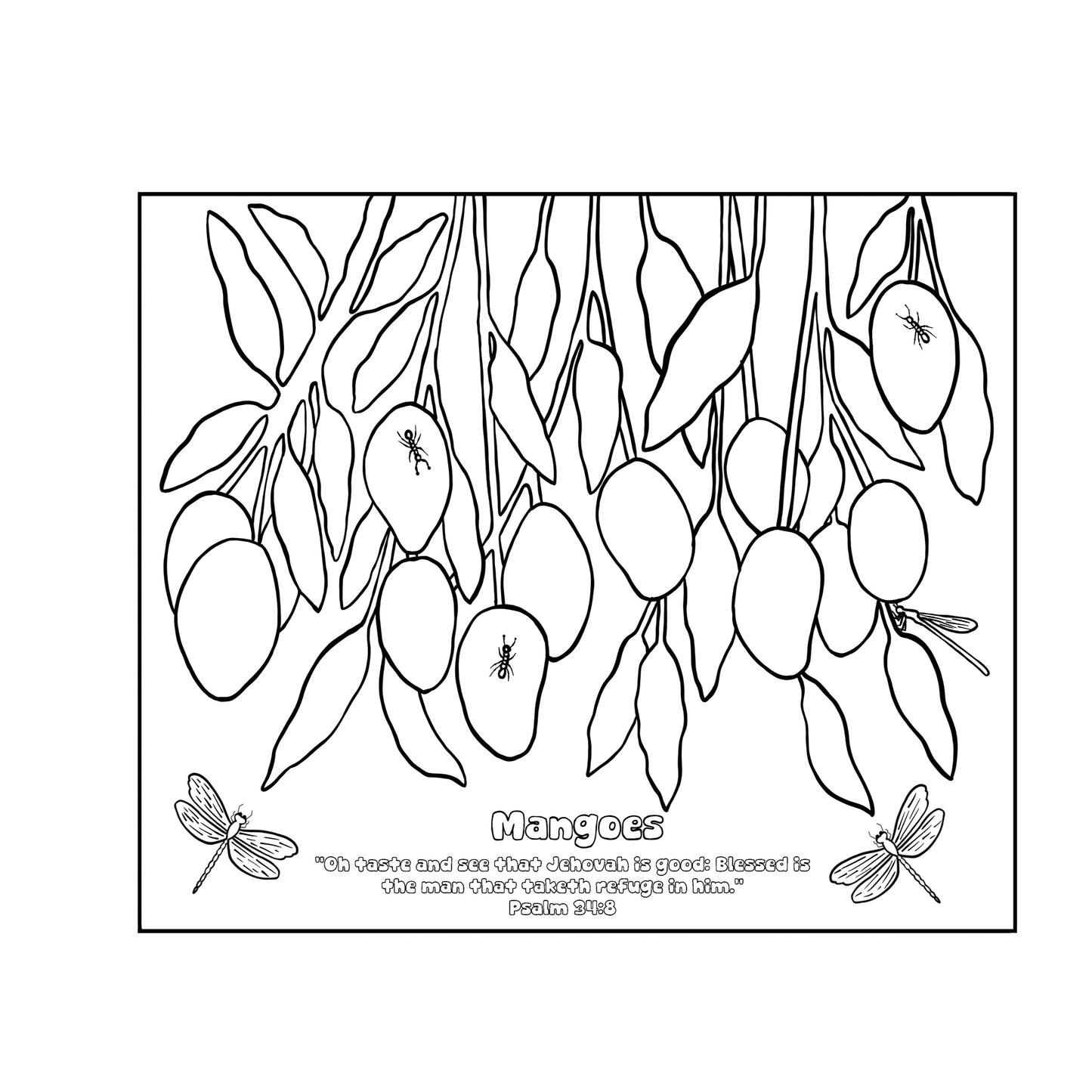 Faith & Fruit Coloring Book