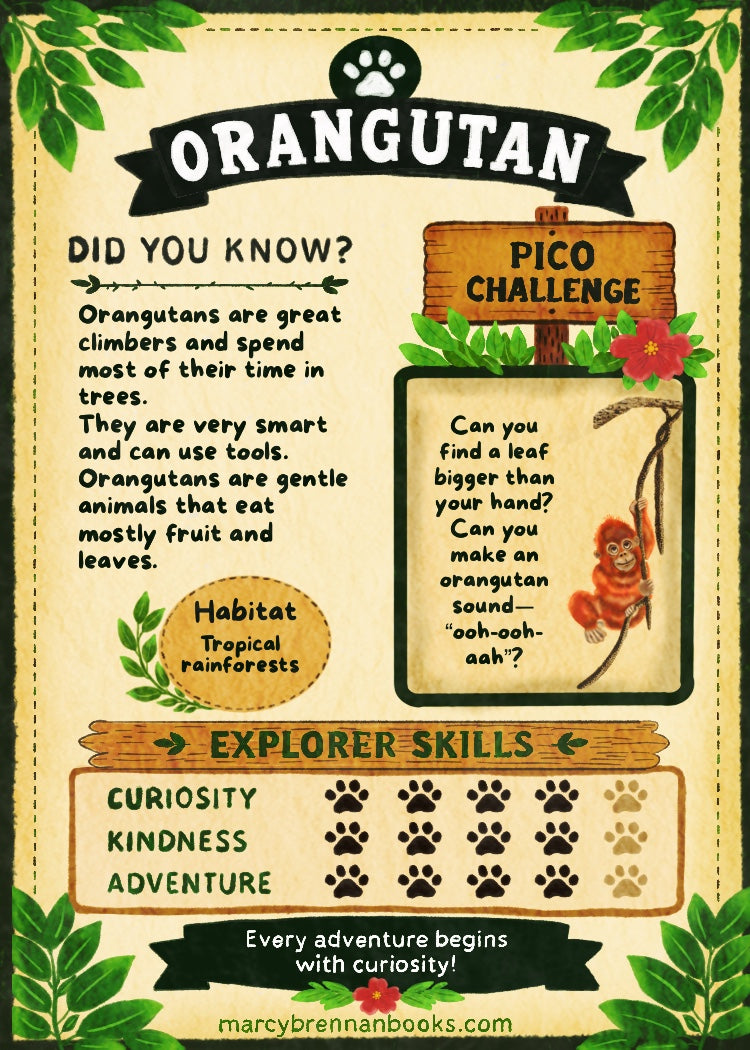 Pico’s Jungle Adventure Explorer Card Collection - FREE Shipping